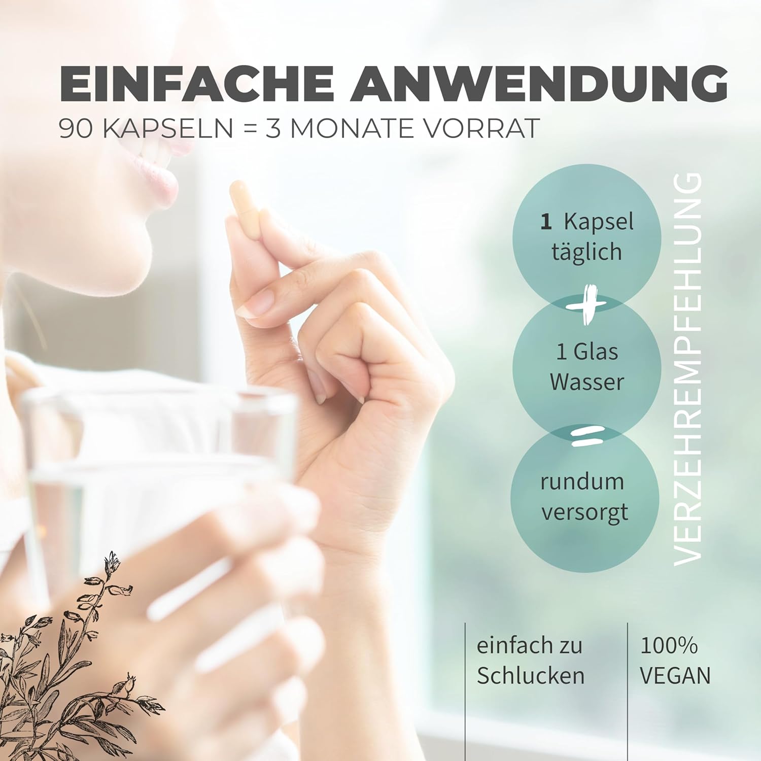Natural Aid - Daily Vegan Hyaluronic - 90 Kapseln