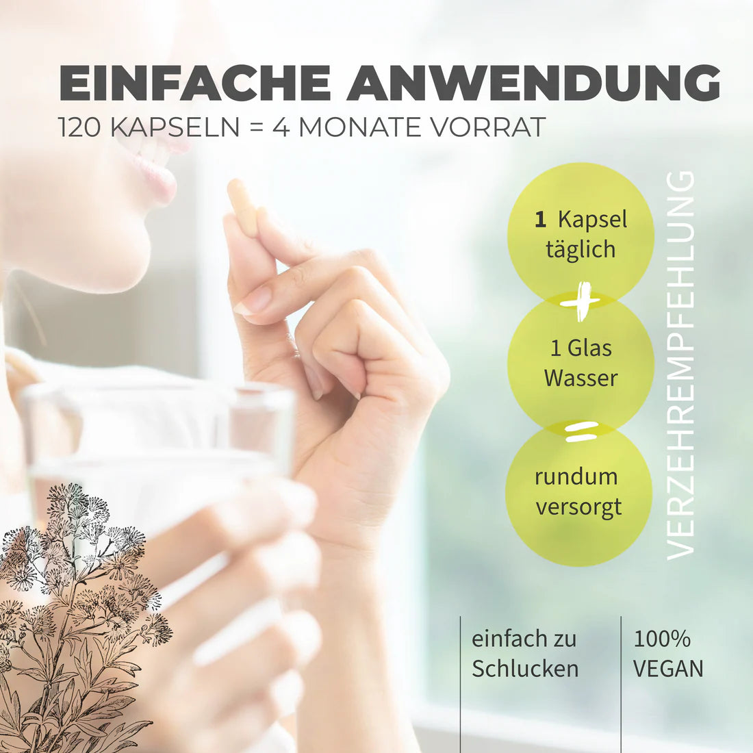 Natural Aid - Daily Vegan PLUS - 120 Kapseln