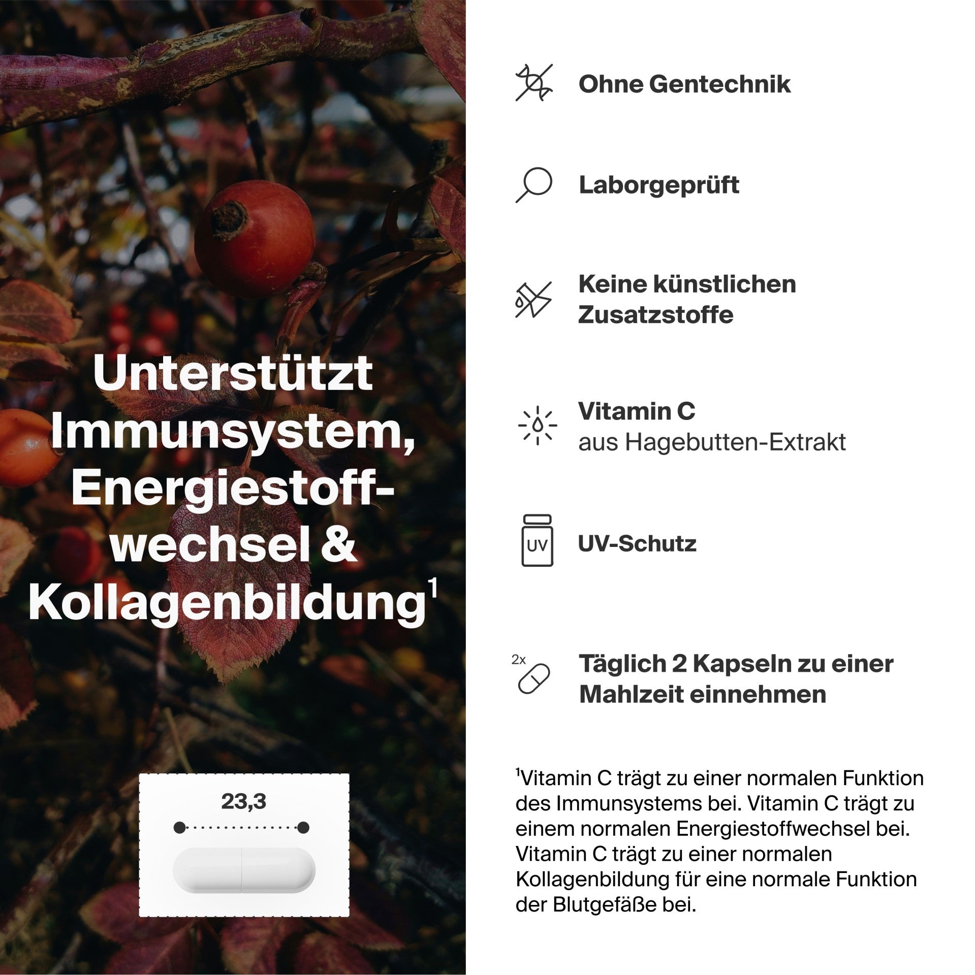 Artgerecht - Vitamin C - 60 Kapseln