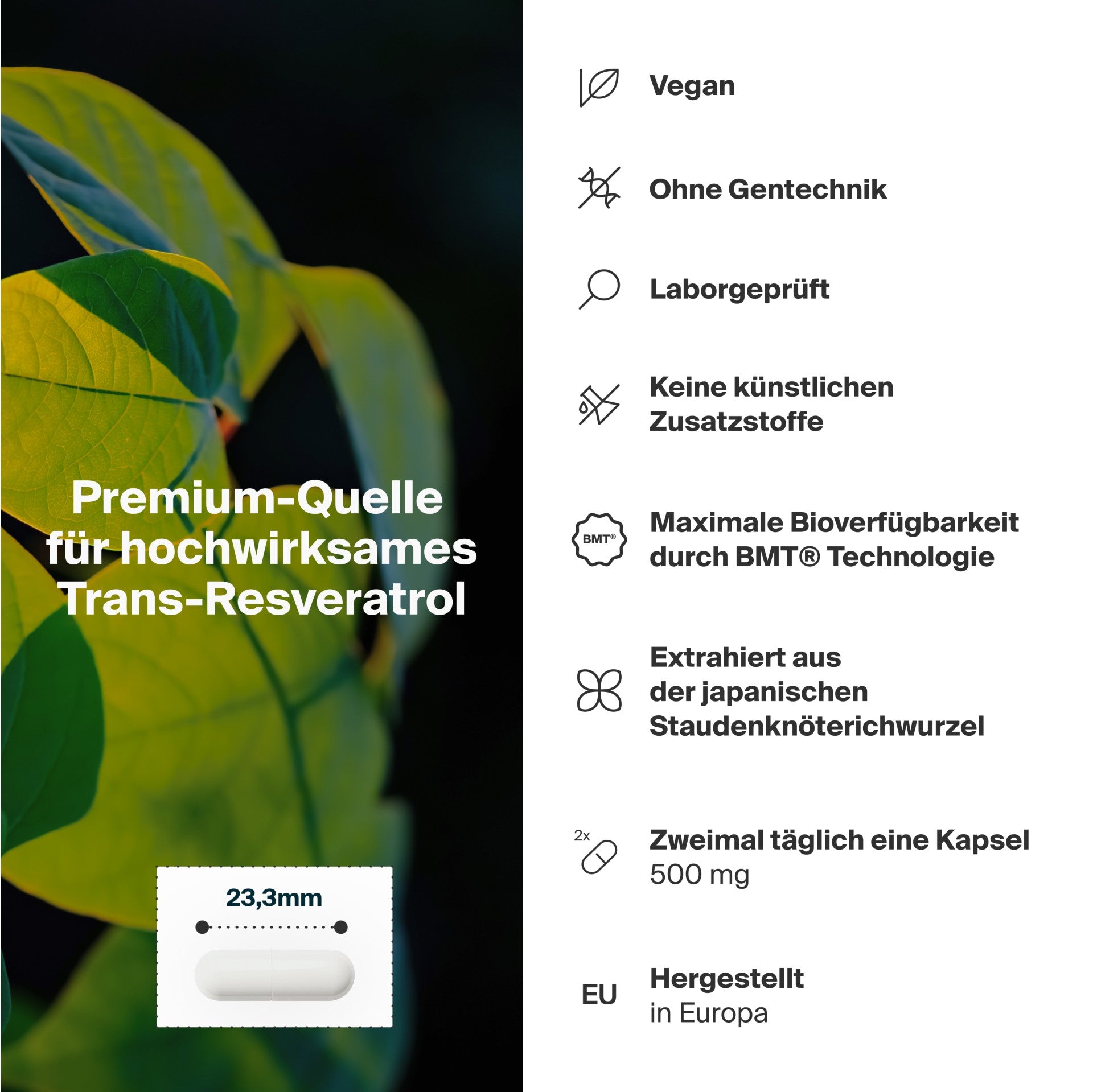 Artgerecht - Resveratrol - 60 Kapseln