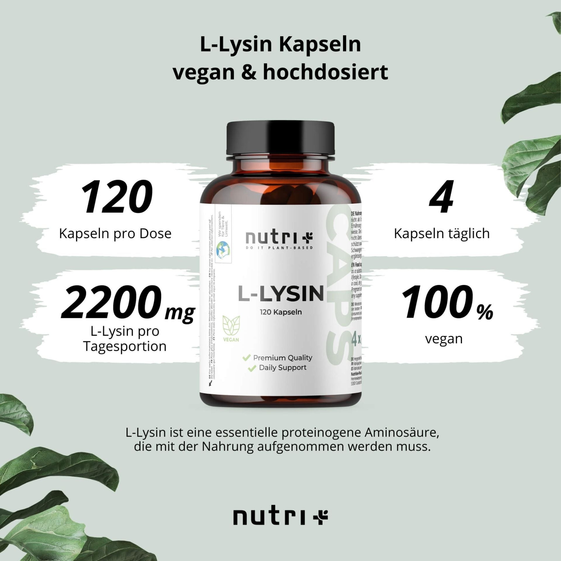 Nutri+ - L-Lysin Kapseln  - 120 Kapseln