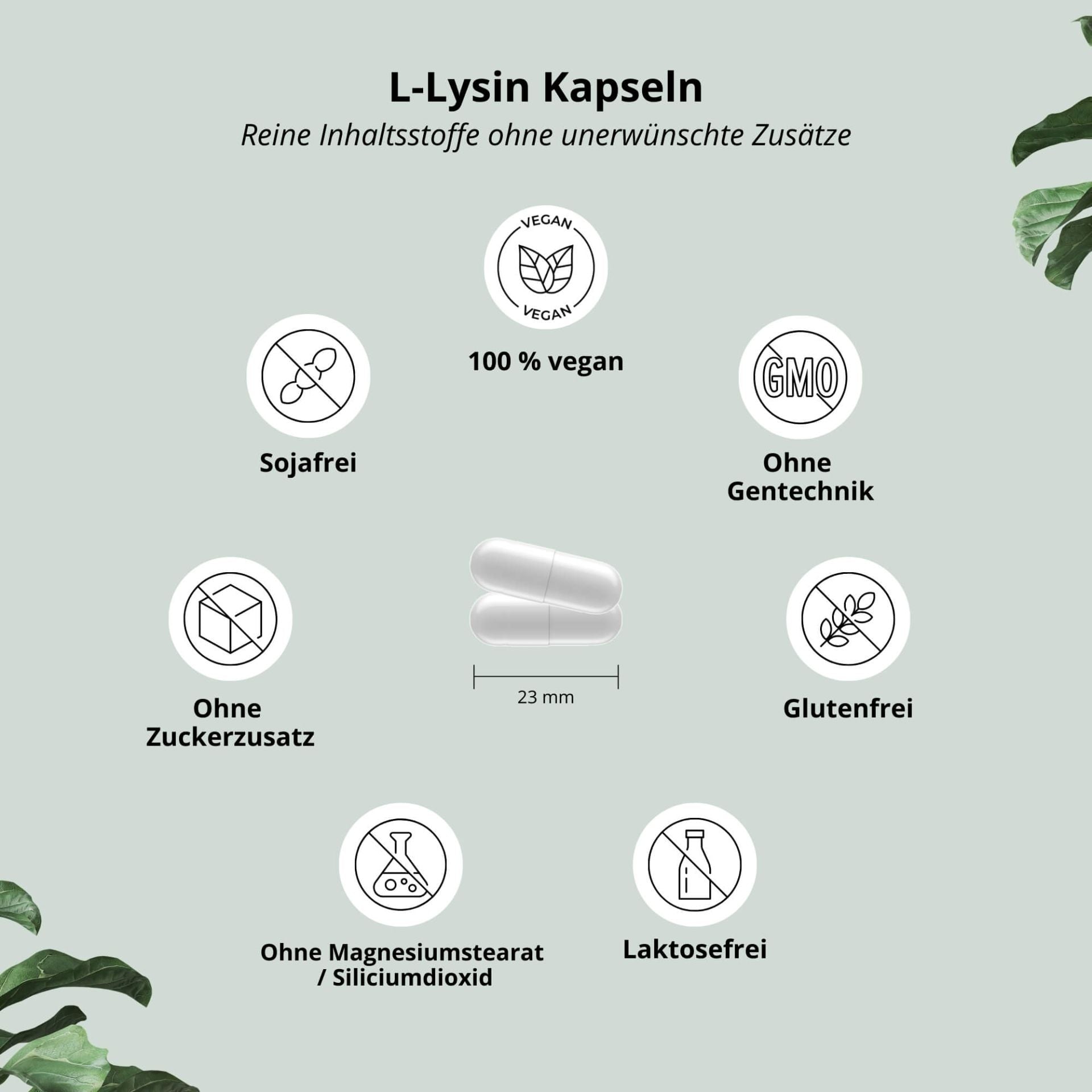 Nutri+ - L-Lysin Kapseln  - 120 Kapseln