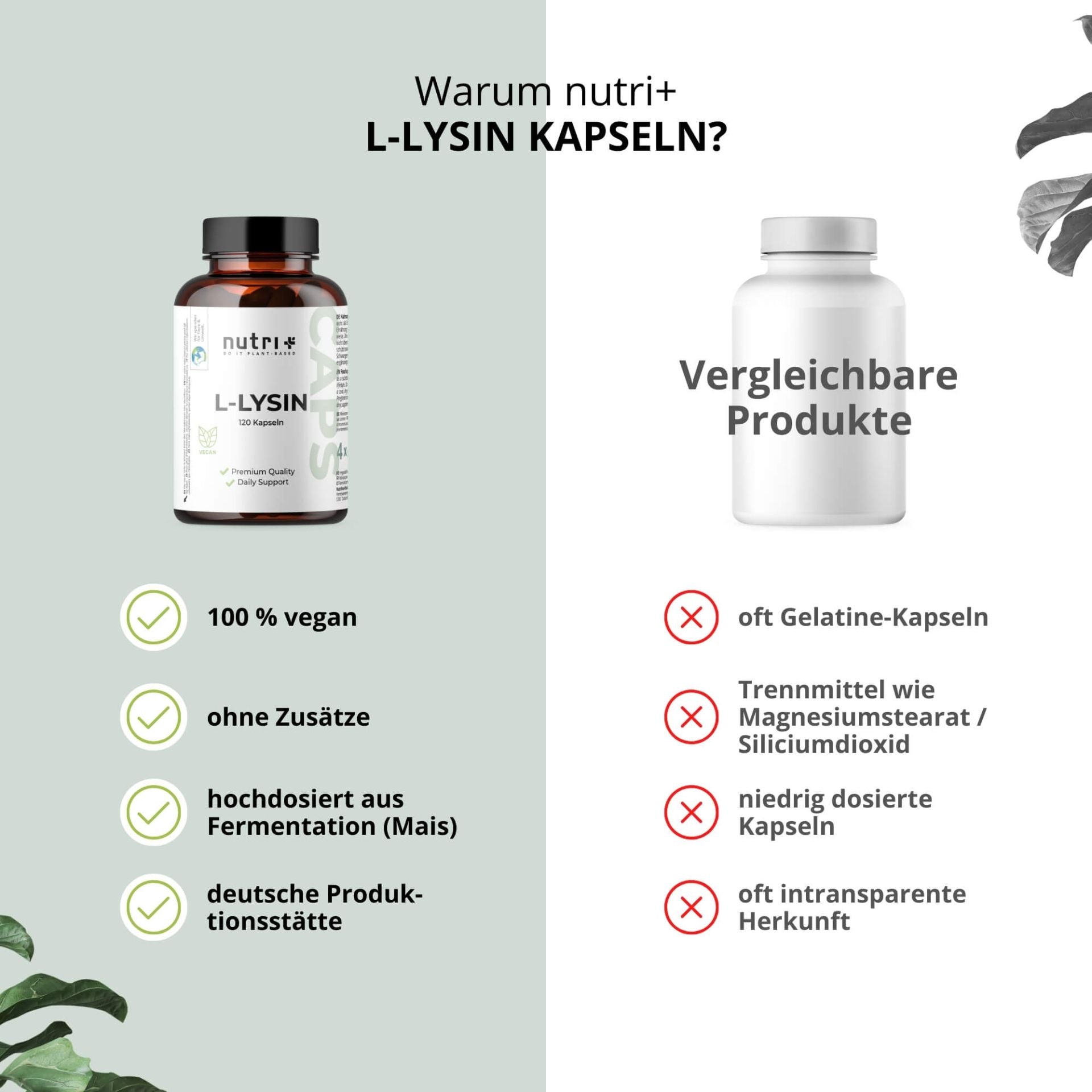 Nutri+ - L-Lysin Kapseln  - 120 Kapseln